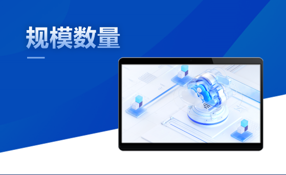 Giấy phép tích hợp luồng video sinh đôi video
